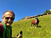 MONTI VINDIOLO e VETRO ad anello da Zorzone-Pian Bracca in VAL VEDRA il 13 giugno 2019 - FOTOGALLERY